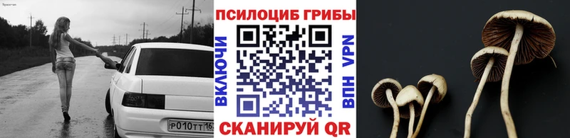 Псилоцибиновые грибы Psilocybe  Купить где  Гаджиево 