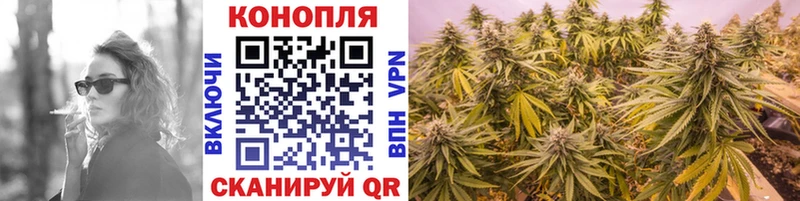 Конопля MAZAR  Купить закладки  Гаджиево 